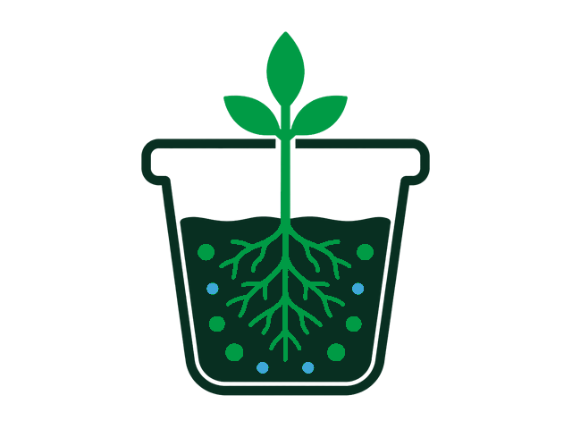 Plant after one week with Noot