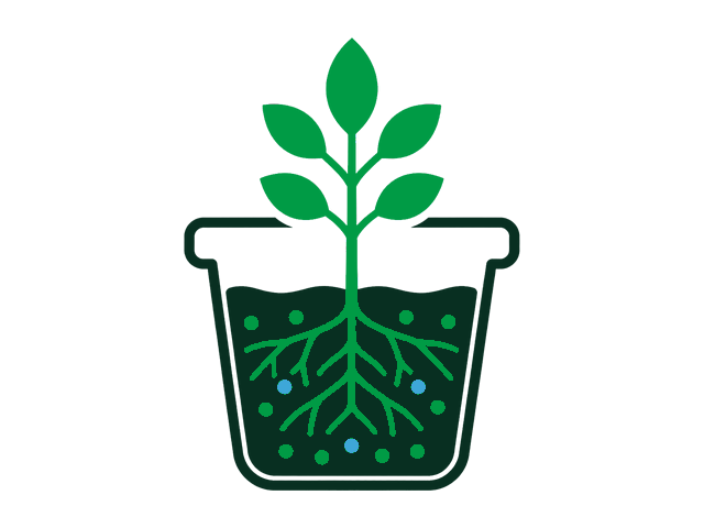 Plant after two weeks with Noot