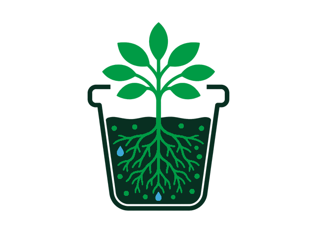 Plant after three weeks with Noot