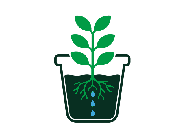 Plant at day thirty with water only